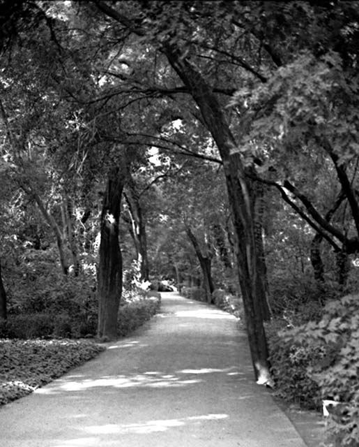 Zappeion path